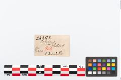 Etikett zu Bronzerollenkopfnadel (NHMW-PRAE-026395)